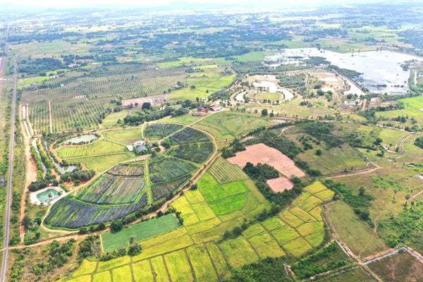 Confirel Discovery: Where Memory, Nature and Learning Meet in Kep