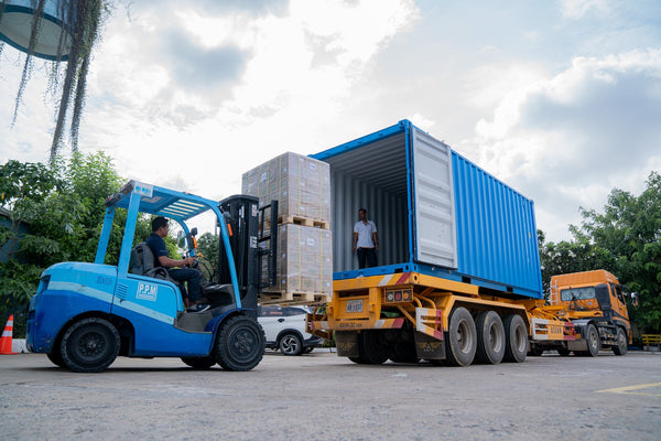 Professional and Export