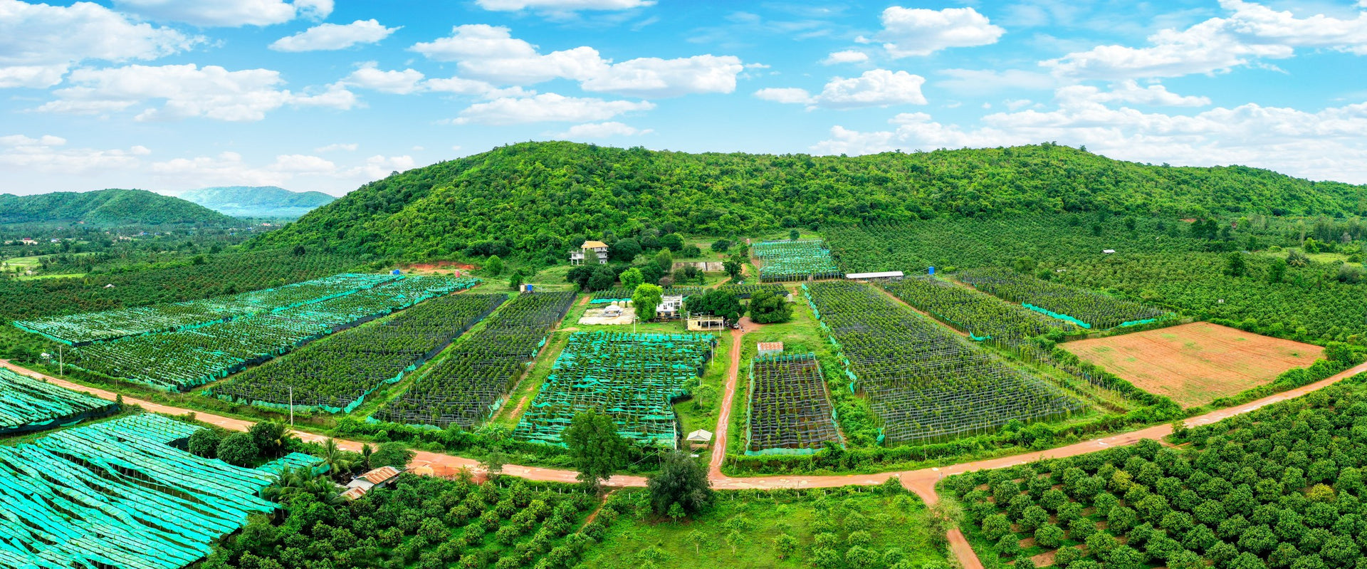 Cambodian terroirs, designed for the modern table